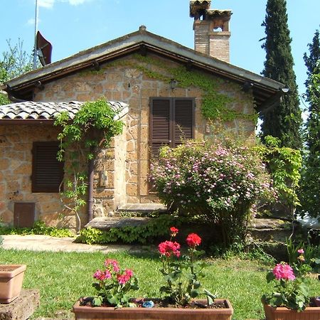 أورفييتو B&B Casaselita المظهر الخارجي الصورة