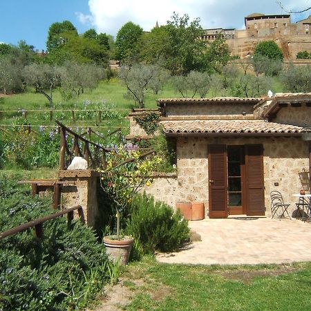أورفييتو B&B Casaselita المظهر الخارجي الصورة